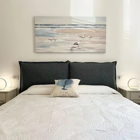 Modern Next The Viareggio